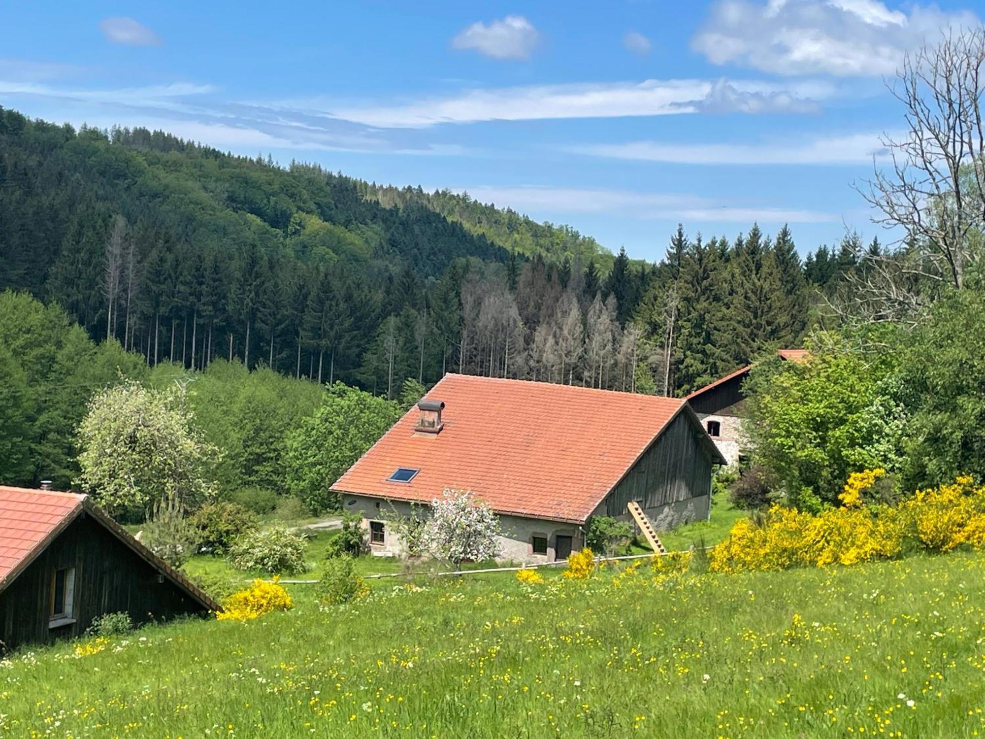 La Hutte Villa Tendon Eksteriør billede
